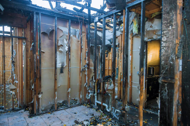 Professional Fire Damage Removal technician working in Ferry Pass, FL